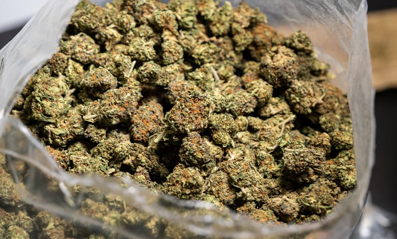 Ist HHC stärker als CBD?