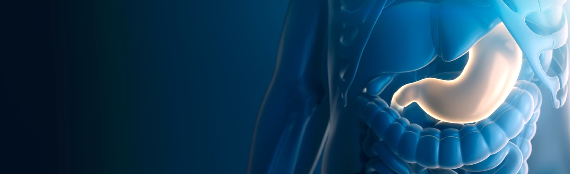 Mit Dr. Volkan Arayıcı zur sicheren Magenverkleinerung Türkei