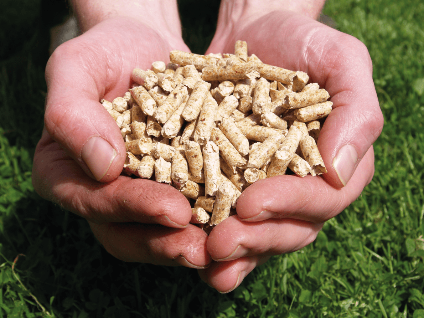 Sicher und zuverlässig: Ihre Pelletlieferung mit Pellets-DEAL