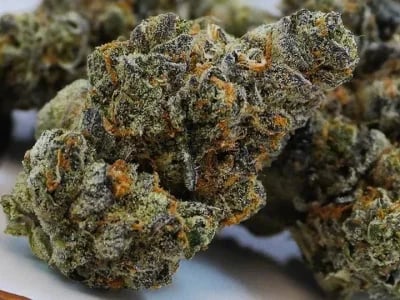 Cannabis Sativa: Die beliebtesten medizinischen Anwendungen