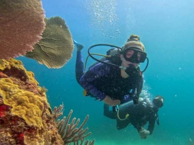 DeepDiveMexico – Deine Tauchschule Playa del Carmen für besondere Erlebnisse