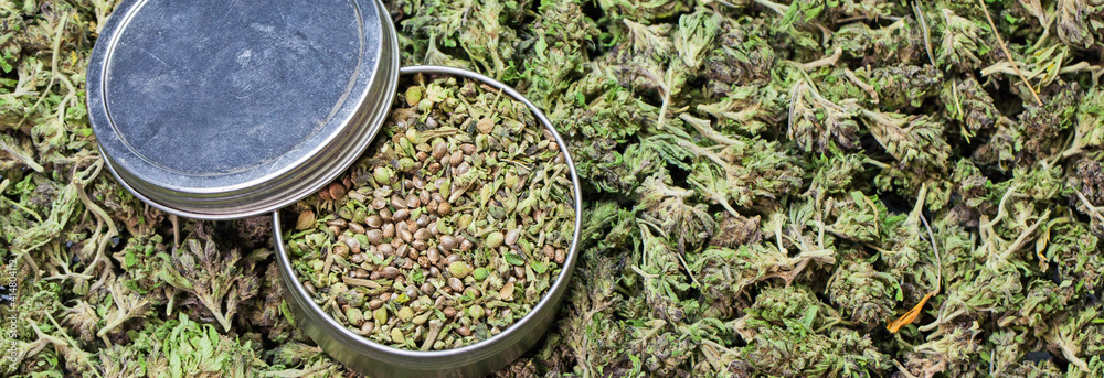 Wie Cannabis Samen die Textilindustrie revolutionieren könnten