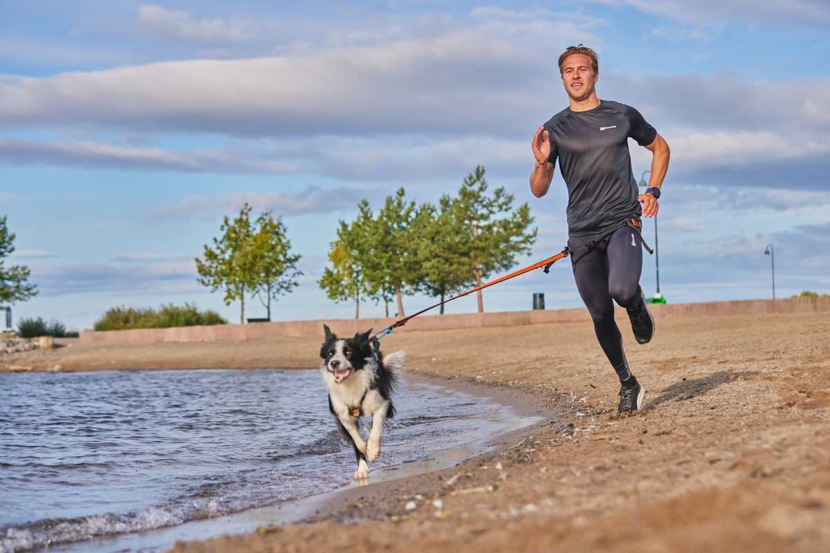 Reisezubehör für Hunde: Sorgen Sie für stressfreie Ausflüge für Ihren vierbeinigen Begleiter