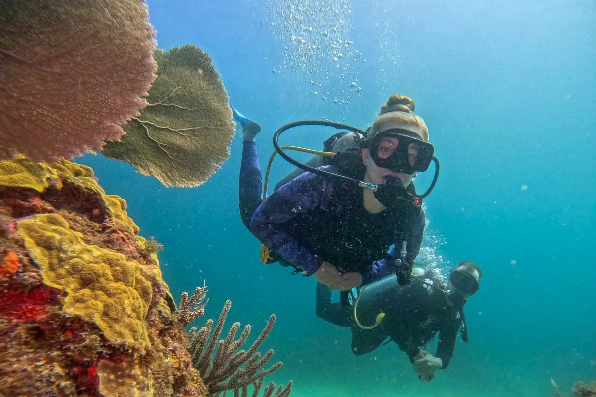 DeepDiveMexico – Deine Tauchschule Playa del Carmen für besondere Erlebnisse