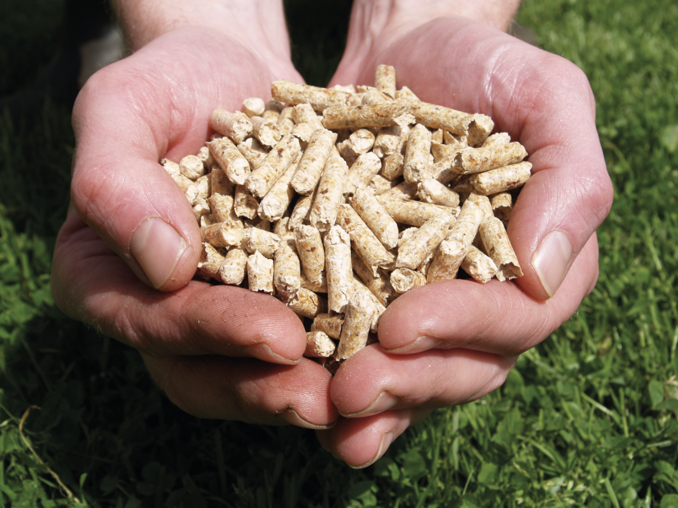 Sicher und zuverlässig: Ihre Pelletlieferung mit Pellets-DEAL