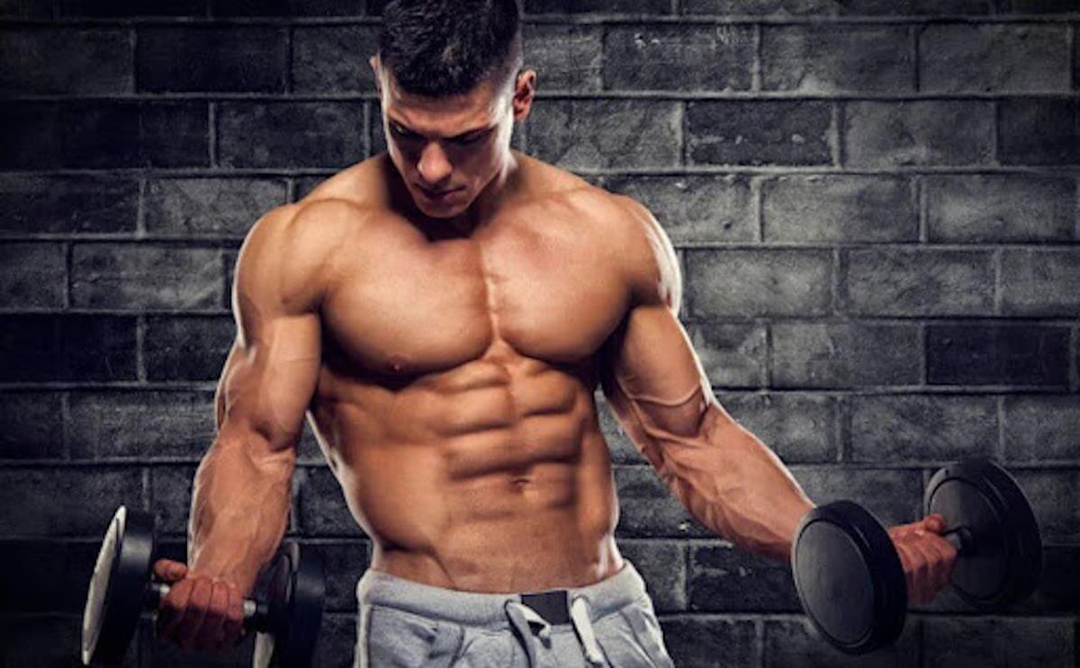 Testosteron kaufen: Worauf du achten solltest – Fatburnerking