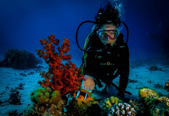 Scuba Diving - Tauchen mit Kindern im Roten Meer