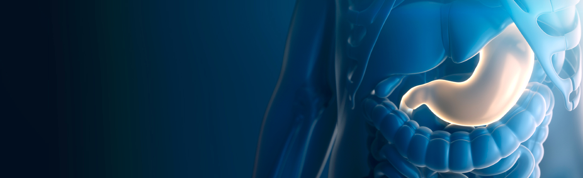 Mit Dr. Volkan Arayıcı zur sicheren Magenverkleinerung Türkei