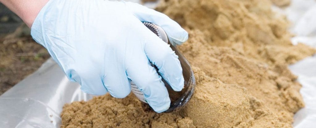 Baugrund richtig einschätzen mit einem Bodengutachten